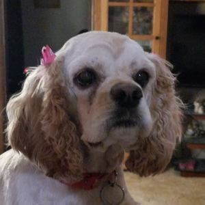 Meet your Posher, Tammy